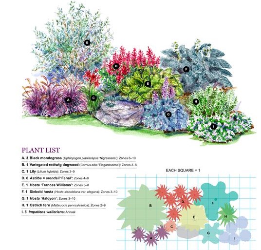 plano de plantas
